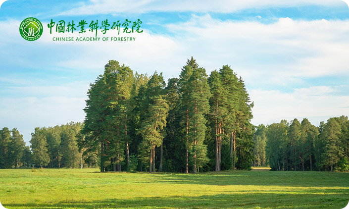 中國林業科學研究院