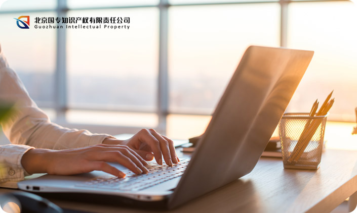 北京國專知識產權有限責任公司