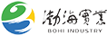 山東渤海實業